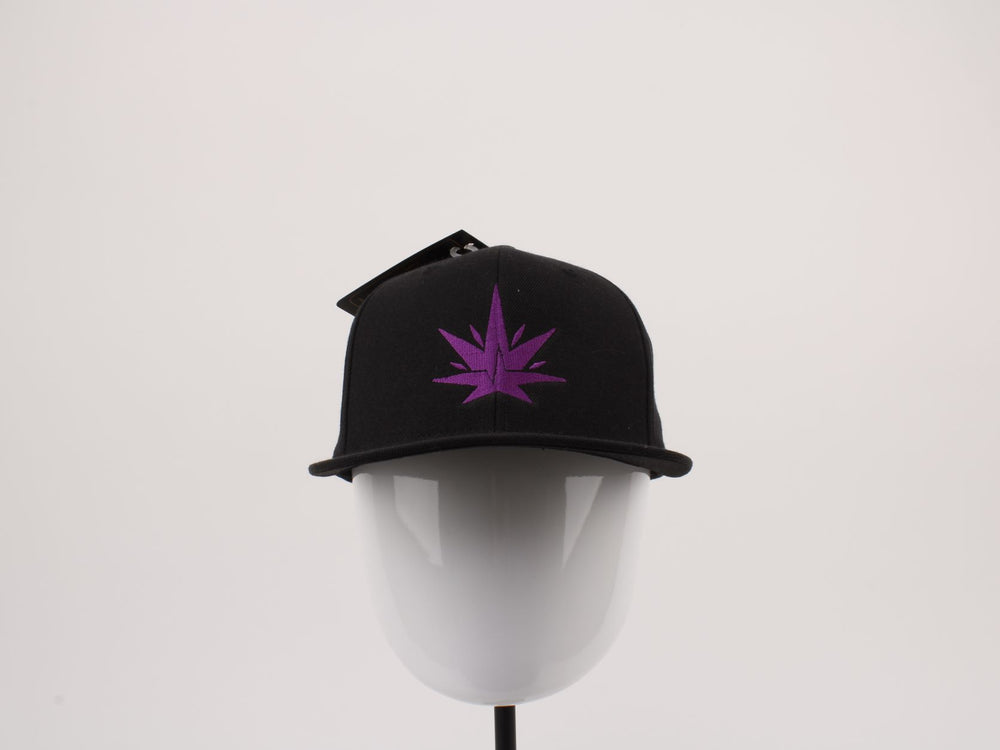 
            
                Load the image into the gallery viewer, Yupoong &amp;quot;CanLife&amp;quot; SNAPBACK  Cap (All Black/Purple)
            
        